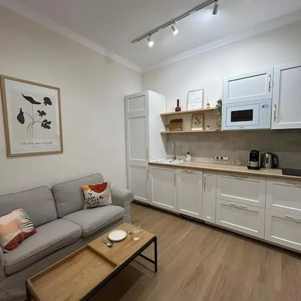 Apartamento en el centro histórico，聖瑪麗亞港的飯店