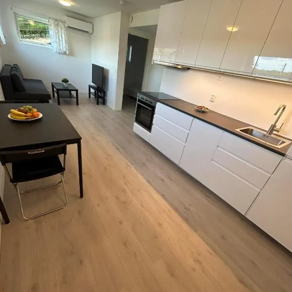 Temis apartment, private new 2 rooms with lagre kitchen, share with nobody, hotell i Oslo