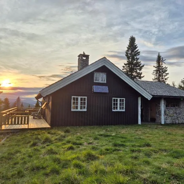 Cozy log cabin at beautiful Nystølsfjellet, hotell i Gol