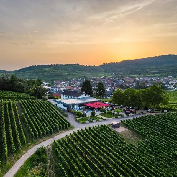 Köpfers Steinbuck, hotel v mestu Breisach am Rhein