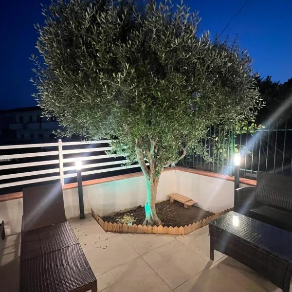 B&B L Ulivo, hotel in Scalea