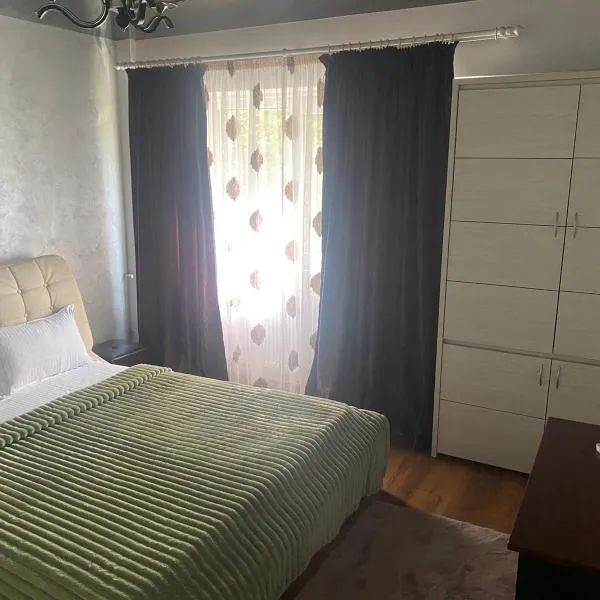 Apartament Salcia、ガラツィのホテル