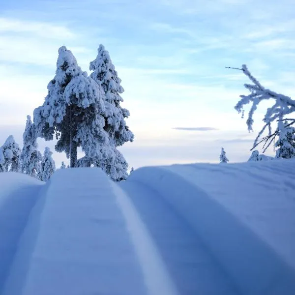 14 - Snø - Alpint - Langrenn - Snøscooter, hotell i Trysil