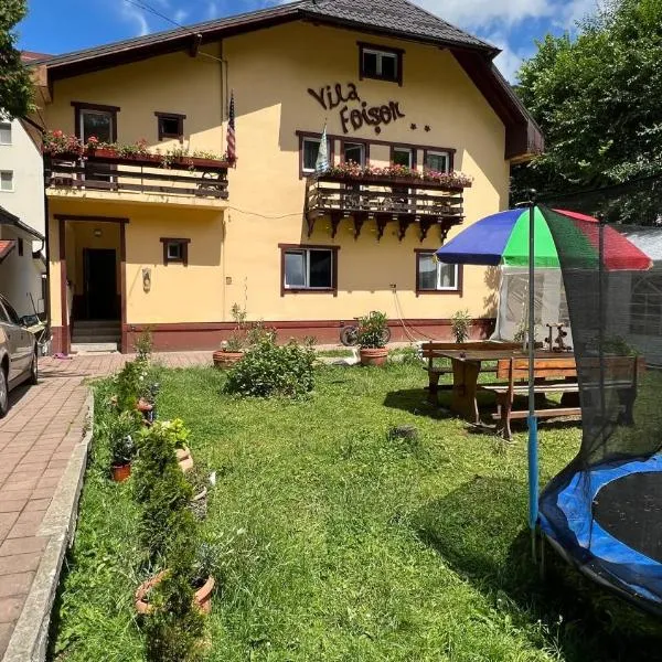 Pensiunea Foișor, Hotel in Buşteni