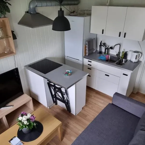 Small cosy and fully equipped apartment, hotel i Tromsø