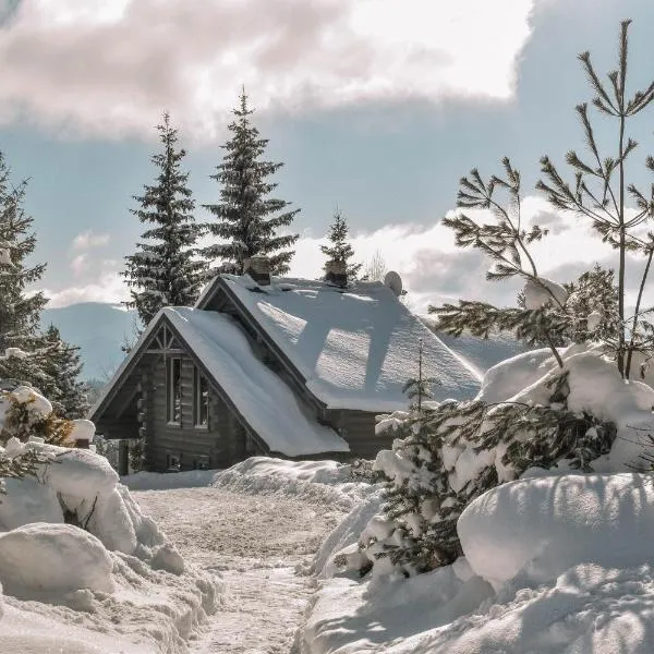 Charlton Estate, hotel i Yablunytsya