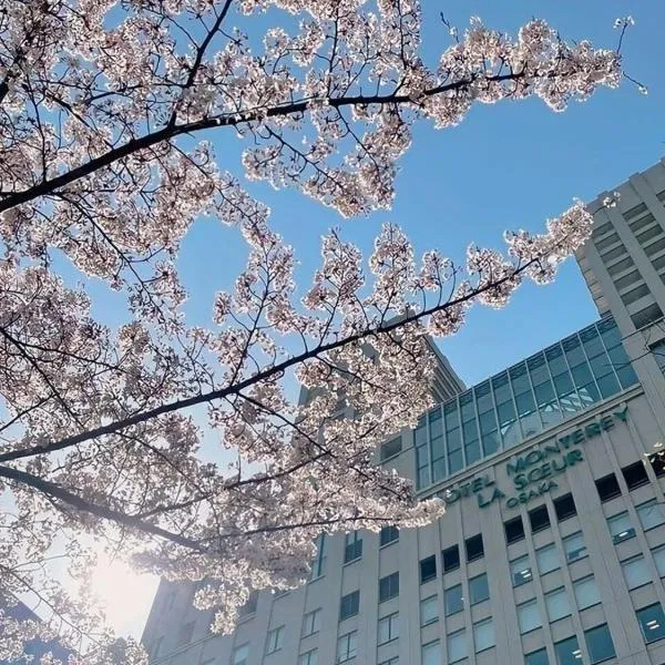 Hotel Monterey La Soeur Osaka, hotel a Osaka