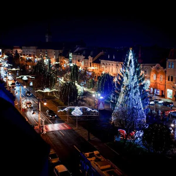 Plaza V Executive Hotel, Hotel in Târgu Mureș