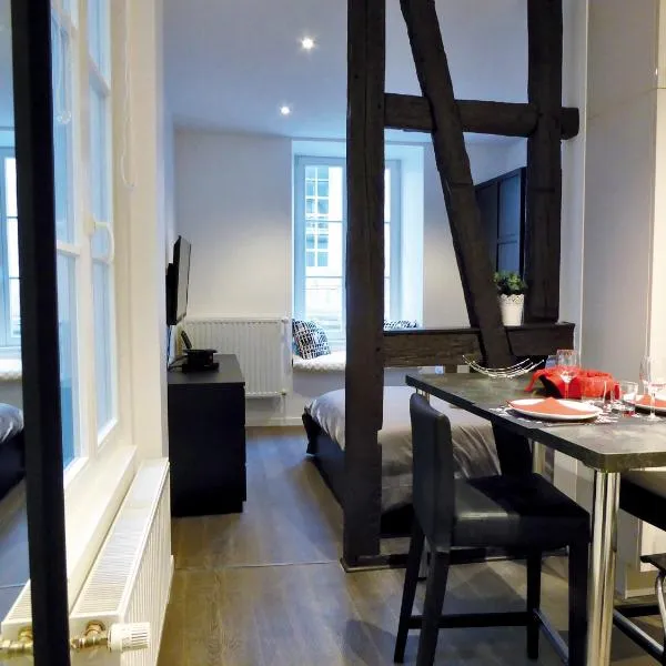 Appartement L'Ill au Sable, hotel din Strasbourg