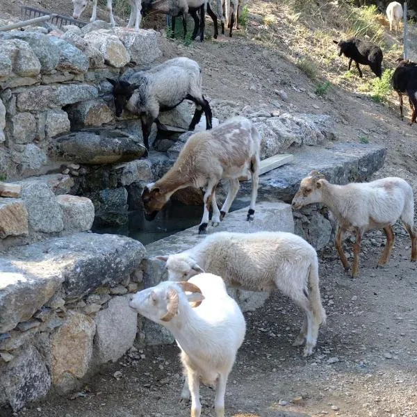 Les Bergeries "Le figuier", hótel í Corte