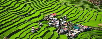 Reisterrassen von Banaue: Hotels in der Nähe