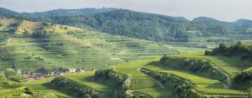 Hotel berdekatan dengan Kaiserstuhl