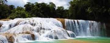 Ξενοδοχεία κοντά σε Καταρράκτες Agua Azul