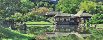 Burg Hikone: Hotels in der Nähe