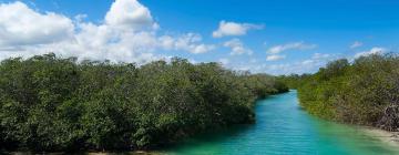 Hoteles cerca de Reserva de Sian Ka'an