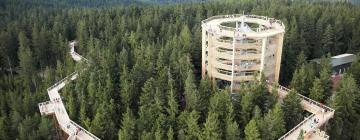 Оглядова вежа Lipno Treetop Walkway: готелі поблизу