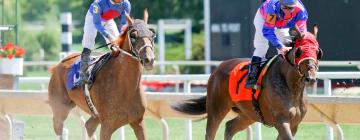 Hotéis perto de Gulfstream Park