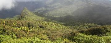 Hotele w pobliżu miejsca Park Narodowy El Yunque