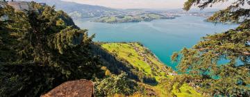 Hoteles cerca de Bürgenstock