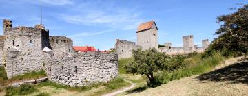 Hoteli v bližini znamenitosti City Wall of Visby