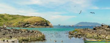 Hotéis perto de: Praia do Forte