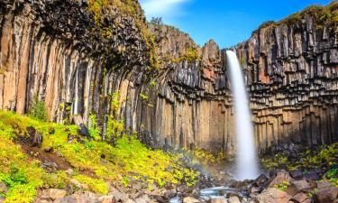 Hotels near Svartifoss