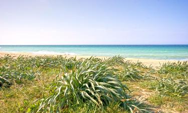 Ξενοδοχεία κοντά σε Playa De La Barrosa