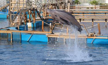 Hotele w pobliżu miejsca Park rozrywki uShaka Marine World