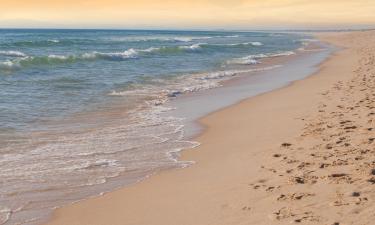 Hôtels près de : Plage de Comporta