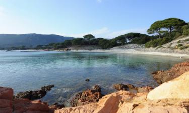 Strand Palombaggia: Hotels in der Nähe