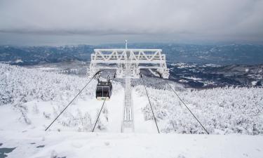 Hotels in de buurt van skigebied Zao Onsen