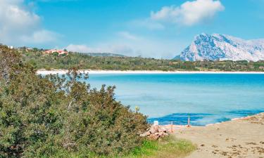 Hoteles cerca de Cala Brandichi