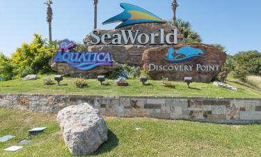 Hotels near Sea World San Antonio