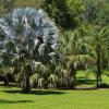 Hotéis perto de: Marie Selby Botanical Gardens