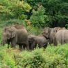 Hotéis perto de: Elephant Nature Park