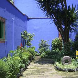 Frida Kahlo House Museum, Mexico City