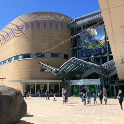 Te Papa, Wellington