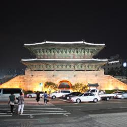 Gradska vrata Dongdaemun, Seul