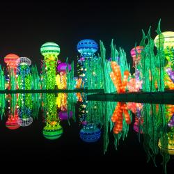 Dubai Garden Glow