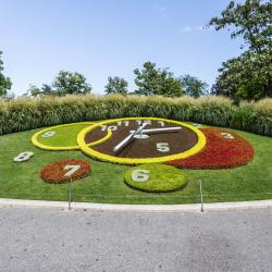 Reloj de flores