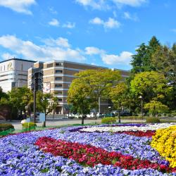 Kotodai Park