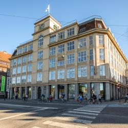 Danish Film Institute