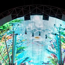 Fremont Street Zipline