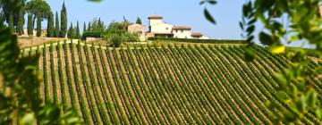 Hotels in Chianti