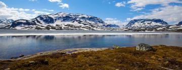 Kjæledyrvennlige hoteller i Haukelifjell