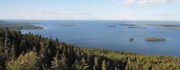 Hotels a Koli