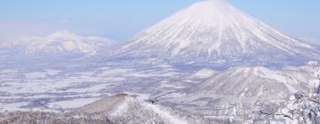 אכסניות באזור Niseko Ski