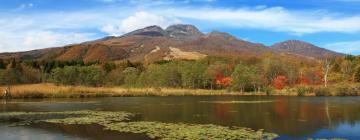 Готелі в регіоні Myoko Kogen