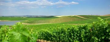 Hoteller i Alentejo Wine Route