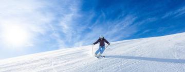 Ξενοδοχεία σε Cerro Chapelco Ski